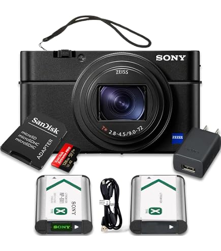 Amazon.com : Sony Cyber-Shot DSC-RX100 VII Digital Camera (DSC